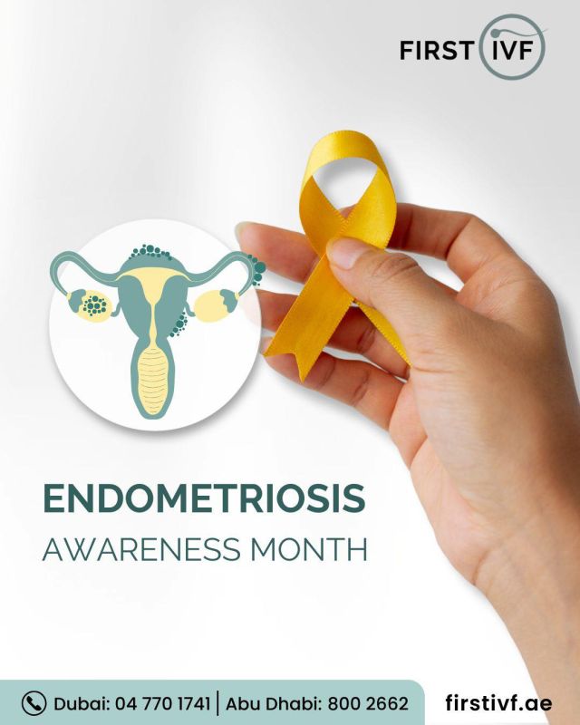 Let's break the silence and empower countless women affected by endometriosis. Through accurate diagnosis and the right treatment plans, quality of life can be improved for these women.

First IVF offers expert clinical guidance and support in state-of-the-art treatment facilities to help women struggling with this chronic condition. To know more,

☎️Call 04 770 1741
📍Dubai Healthcare City

☎️ Call 800 2662
📍Abu Dhabi, in Burjeel Hospital

#FirstIVF #Parenthoodyourway #endometriosisawarenessmonth🎗️